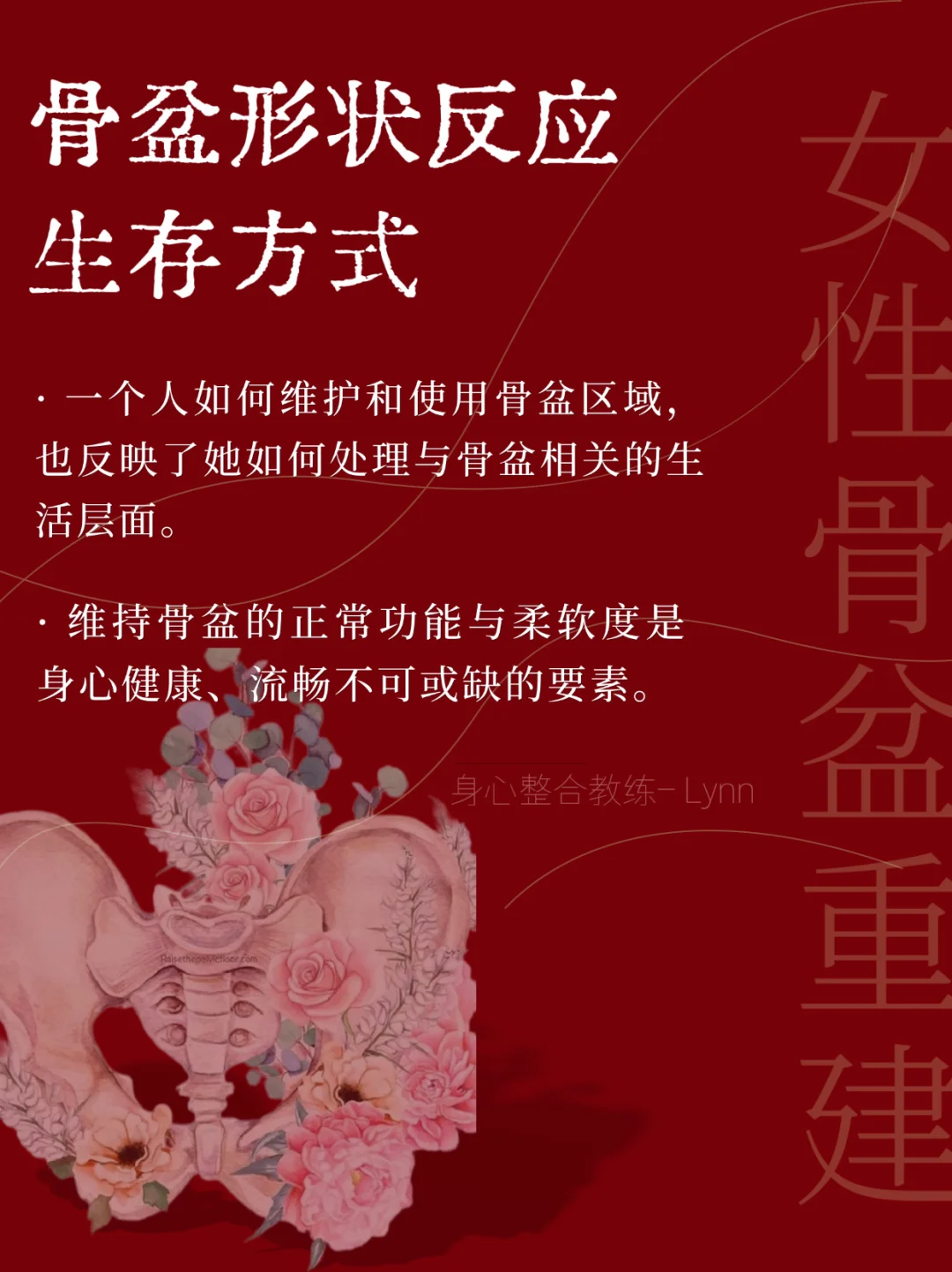 骨盆形状反应了你的生存方式