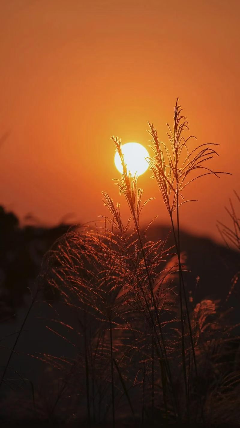 晚上少吃寒凉，脾胃少遭罪深有体会：以前晚饭不在意，夏夜常吃西瓜、凉拌黄瓜，吃完就