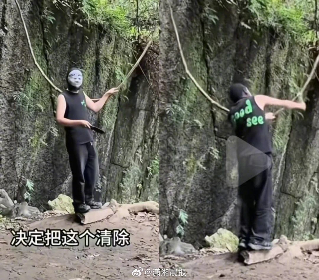 【#树藤因能荡秋千走红被蒙面人砍断#，徒步者设置的路标也被收走，#当地回应网红树