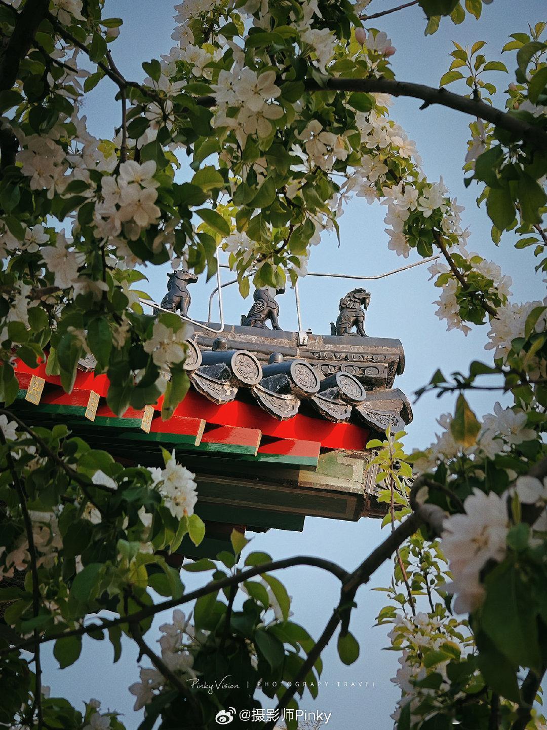 #带父母旅行最舒适的方式#自驾游可以说是带父母旅行最舒适的方式了吧，可以根据自己