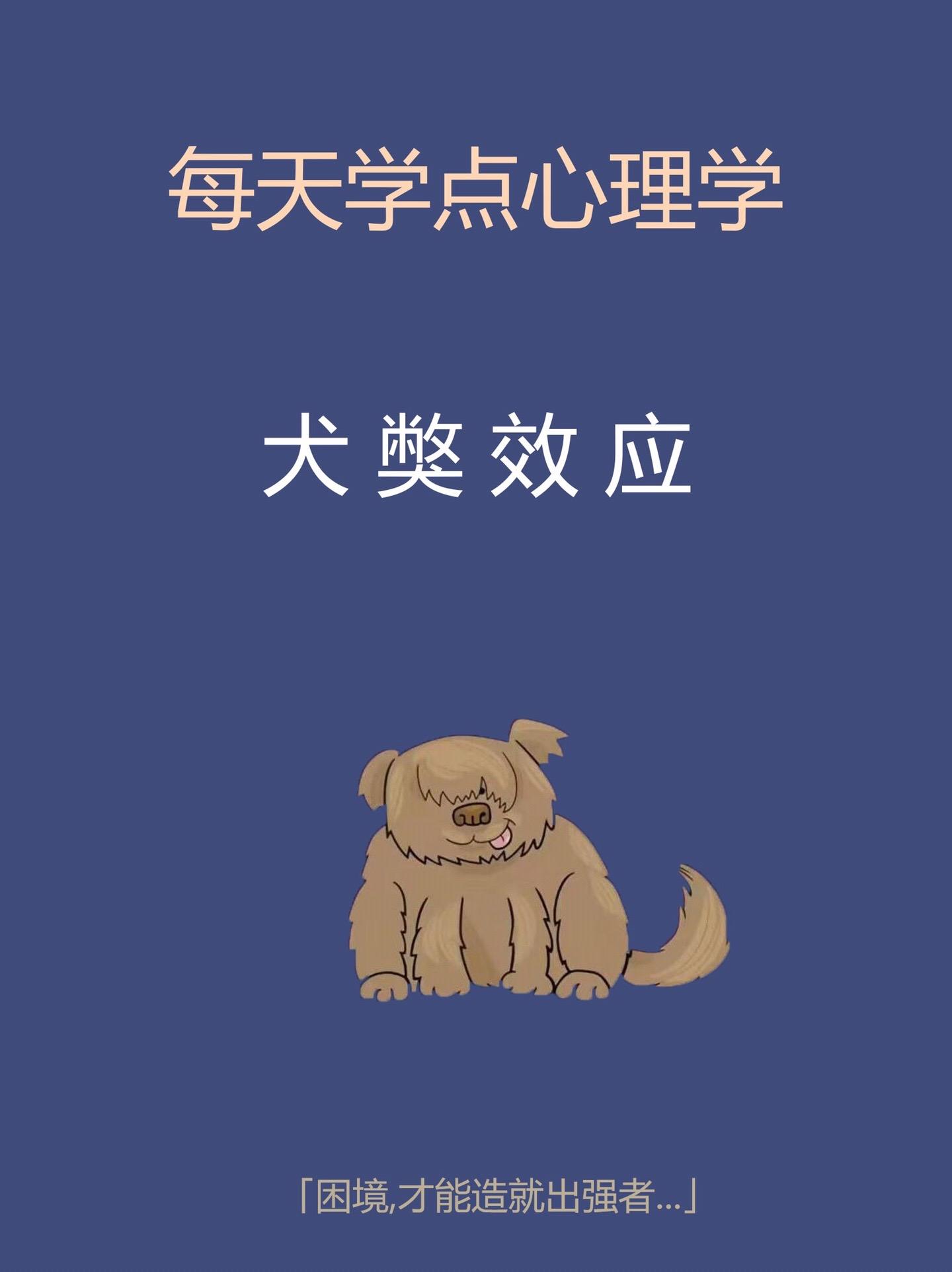 心理学知识。知识科普自我提升