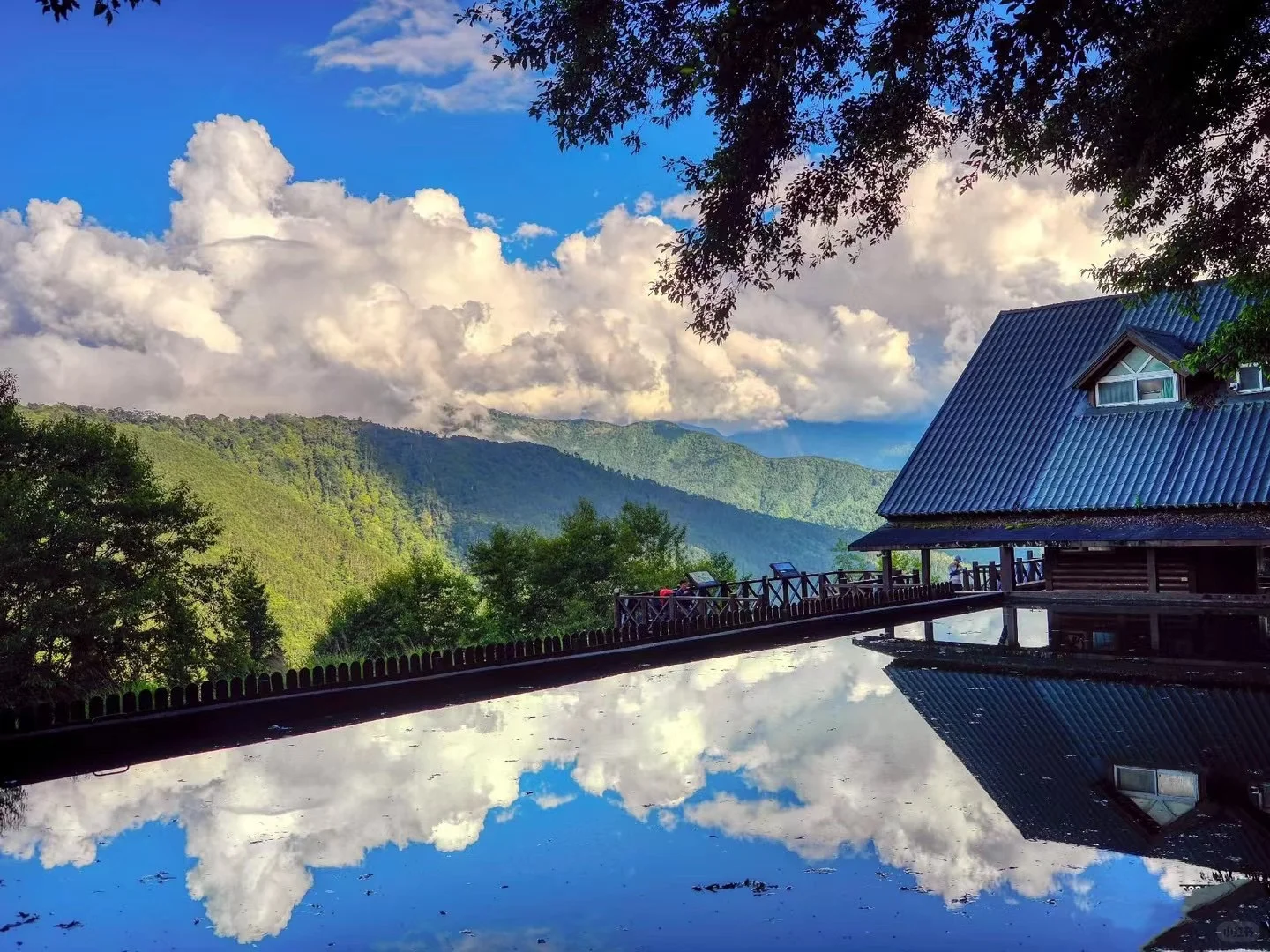 宝岛台湾的美｜雪山登山口