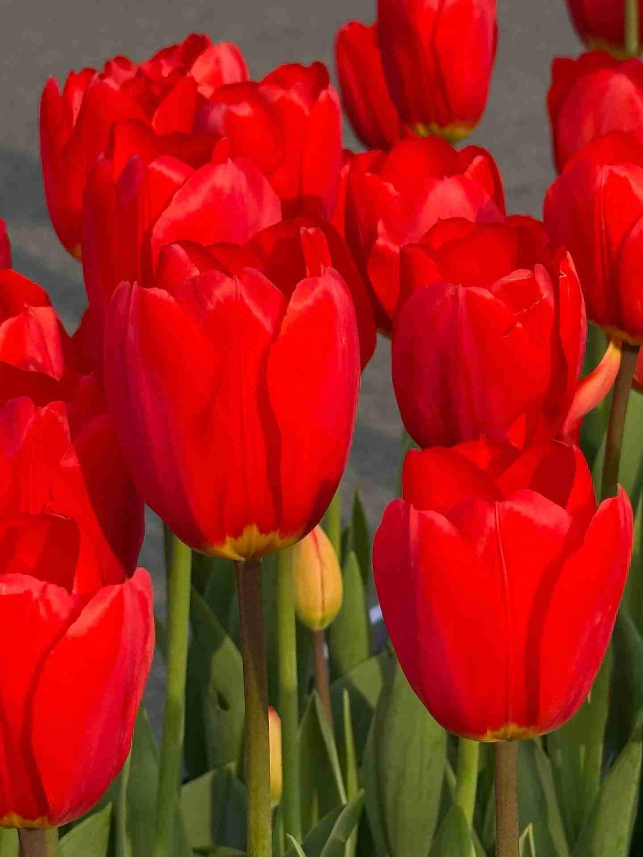 我的今日状态：😁轻松愉快
我这里的天气：☀️晴天