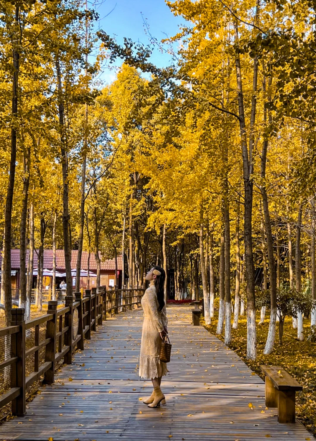 答应我！秋天来南昌一定要去这个公园🍁🍁🍁