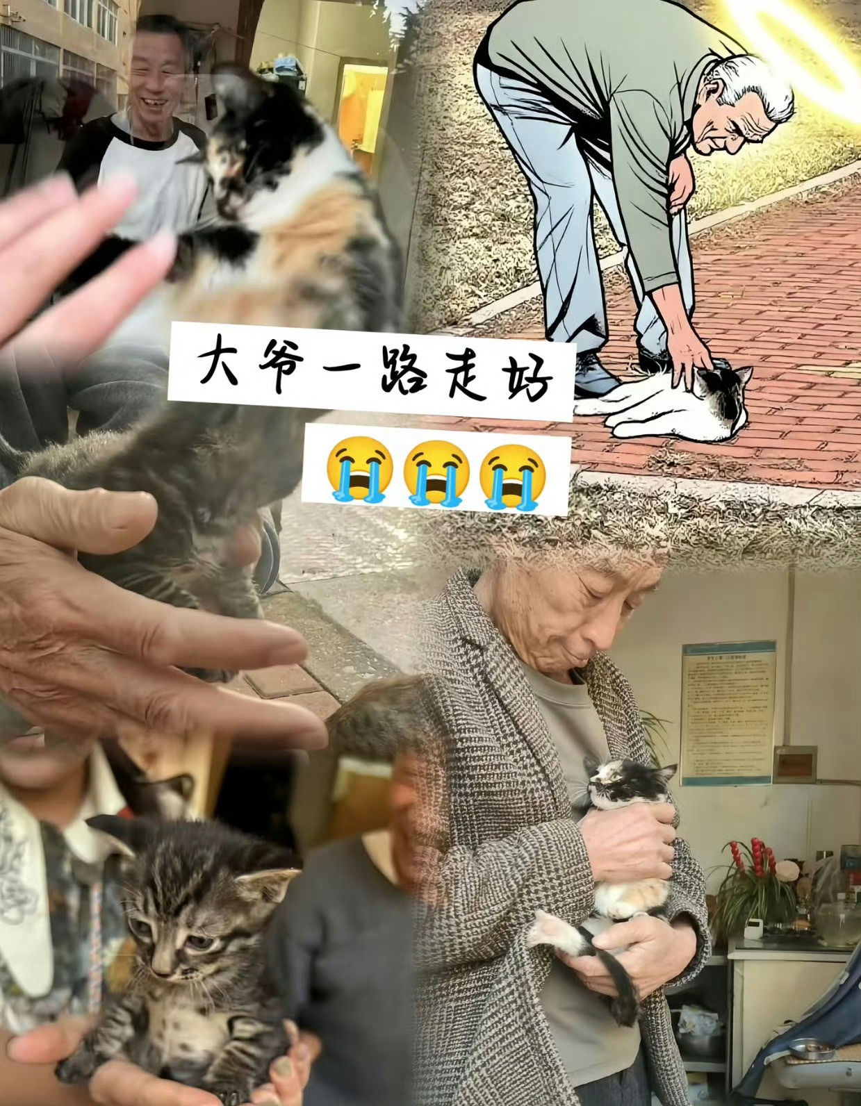 学生称去世宿管大爷平时身体很好 一条令人难过的新闻…… ​​​