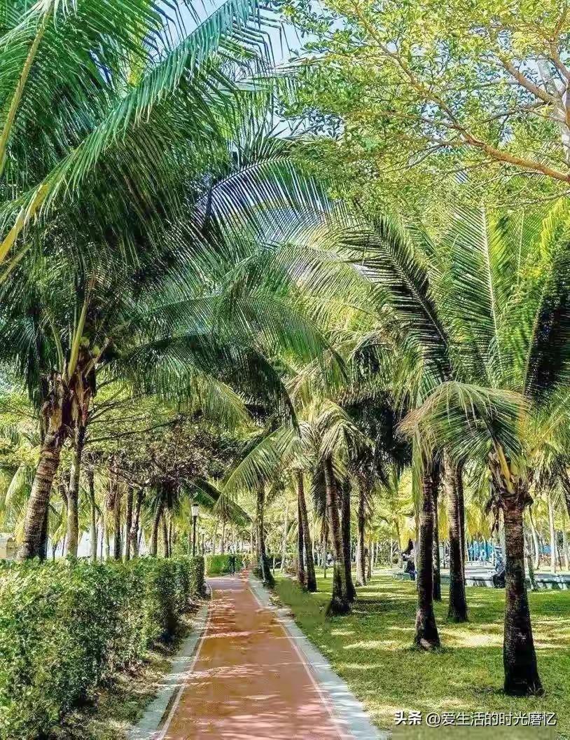 在海南待久了，你就会发现，海南人过日子有个非常鲜明的特点：重吃不重穿。

这可不