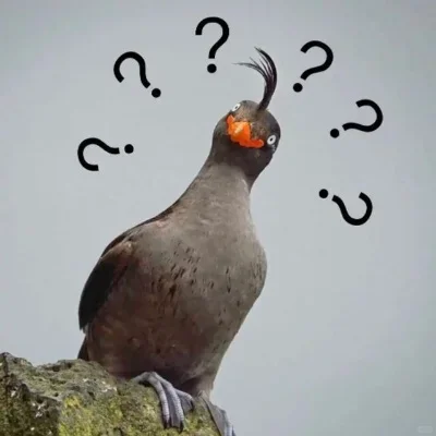 我在厌恶怎样的雌竞？
