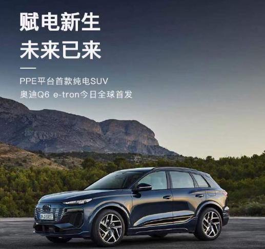 虽然不少国际车企都放缓了新能源转型的步伐，但更多的车企选择针对不同市场采取不同策