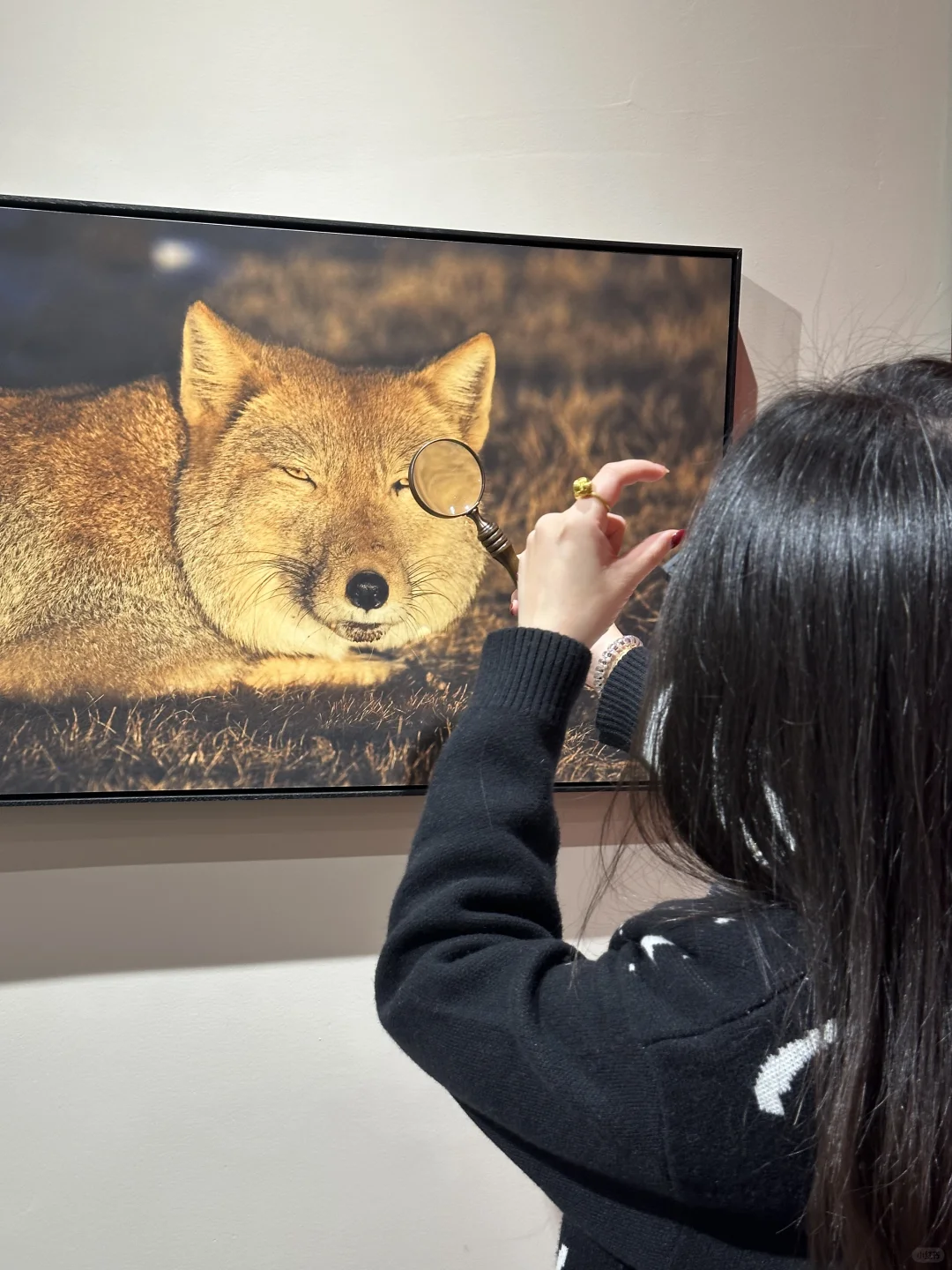 🌍福州新展！！沉浸看世界超酷der~