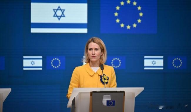 快讯！欧盟已决定将伊斯兰革命卫队列入恐怖组织名单。
就在今天，欧盟外交和安全政策