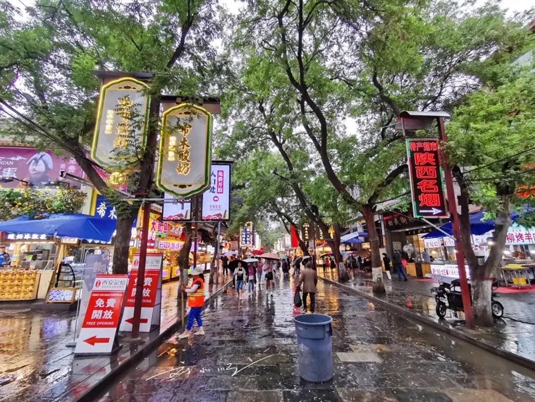 西安最有代表性的旅游景点，外地游客必打卡，西安本地人却不去了？

这里是刘小顺的