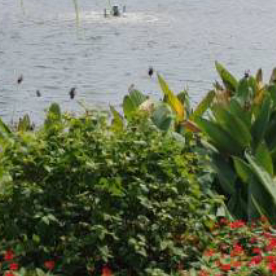 阳光信用 🌲 阳光信用 出发，永远是最有意义的事，去做就是了。当一个人真正觉悟