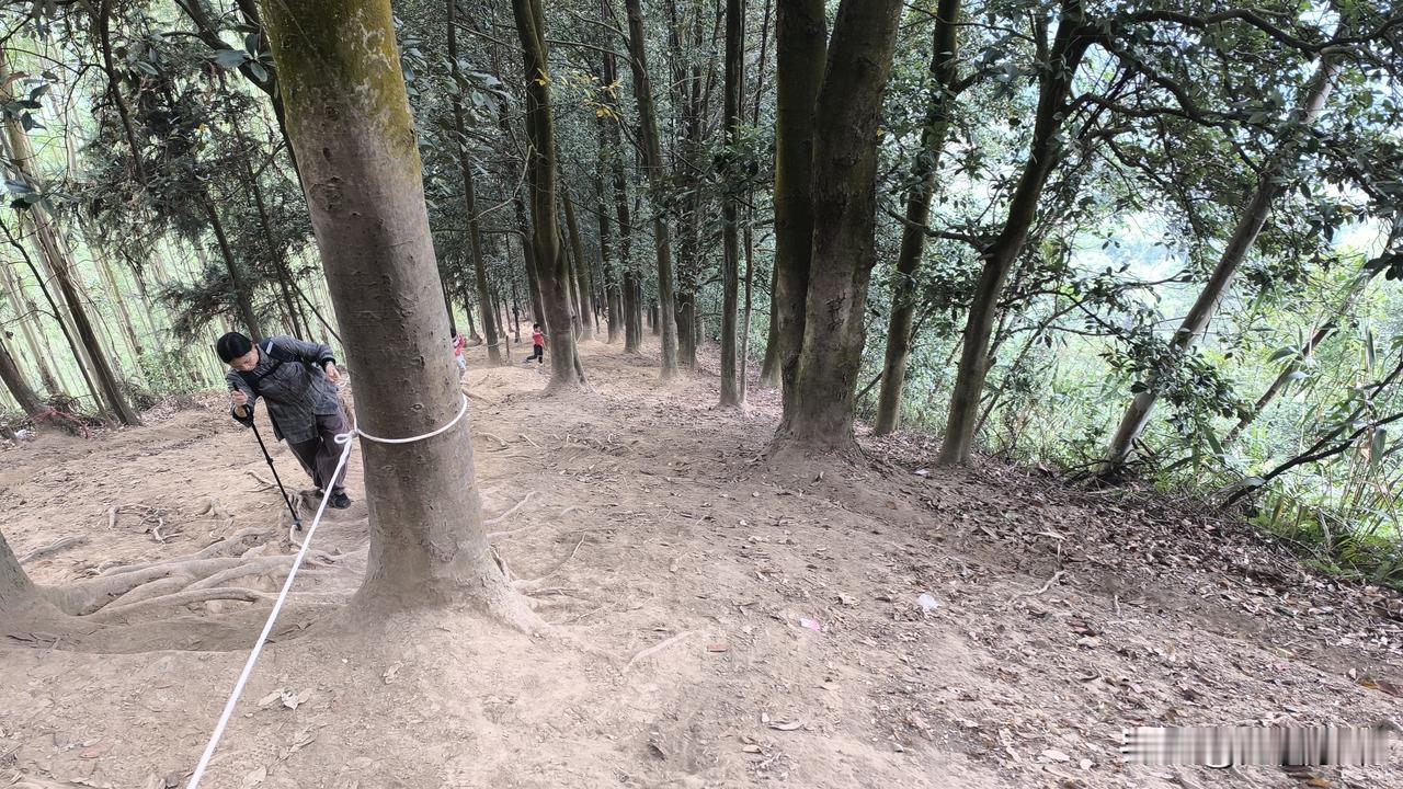 广西南宁这个徒步路线真的是太费退了，现在躺着都不想动，有多少朋友去过的？
今天一