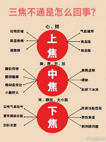 “三焦不通”，指的是什么？看图说话； ​​​