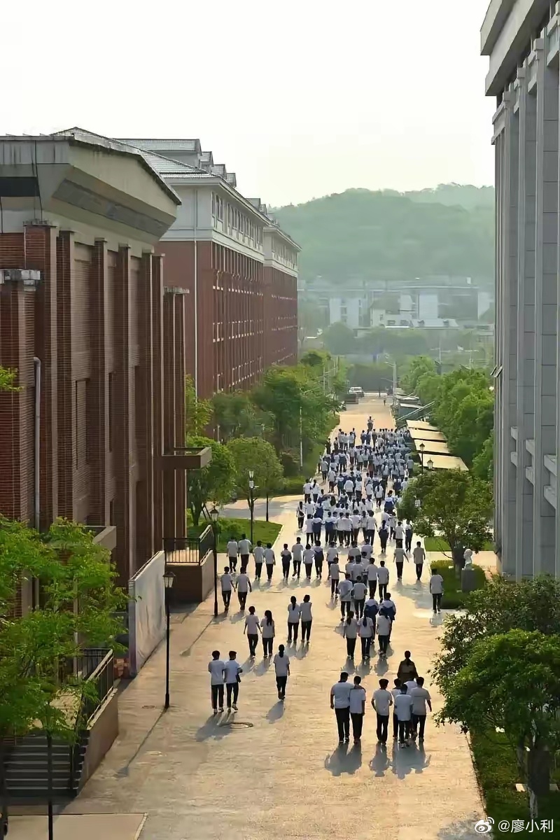 政府工作报告中的新提法从政府工作报告透露的信息来看，今年高中扩招、大学本科扩招已