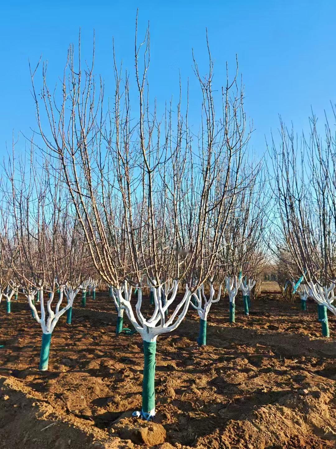 努力到无能为力