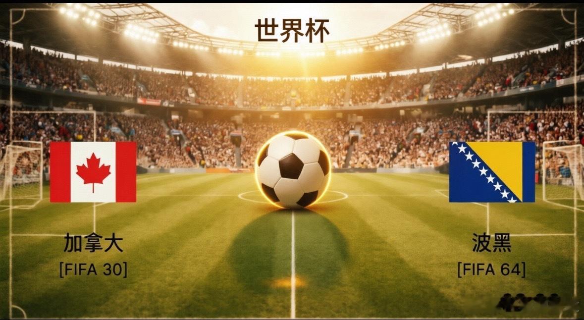 凌晨03:00 世界杯 🇨🇦加拿大 VS 波黑 开球：加拿大 方向：主胜年龄