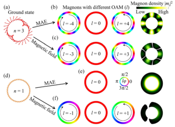 【二硒化钒单壁纳米管研究获进展！】在凝聚态物理与自旋电子学领域，具有非共线自旋结
