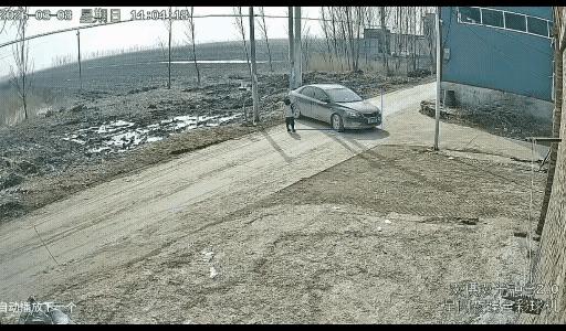 这台轿车停车时没有刹稳车，大人下车后，车自动流坡了，看到车溜坡之后，两个孩子都很