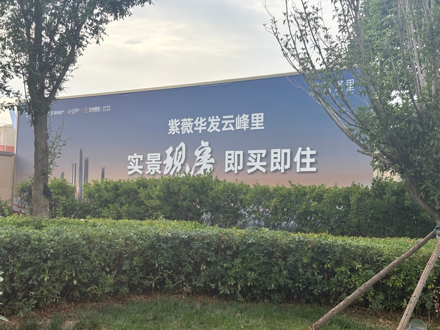 [苦涩][苦涩][苦涩]还敢打广告？ ​​​