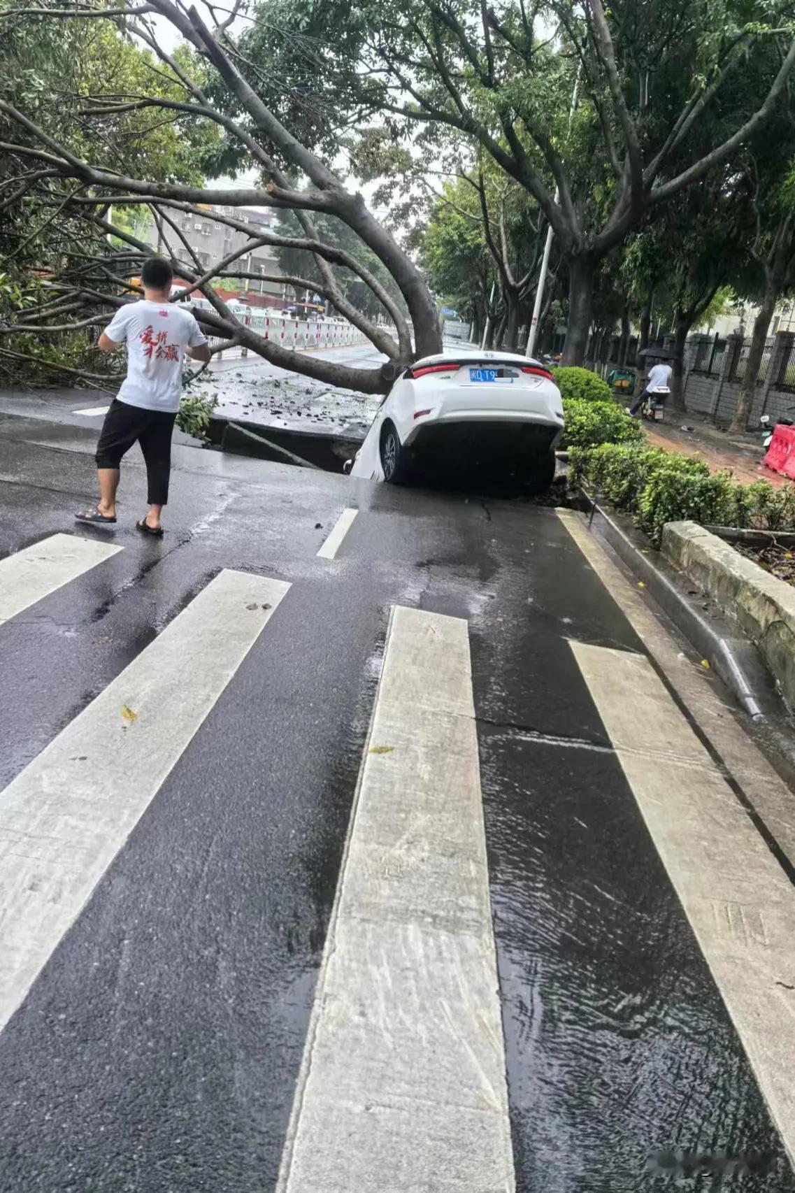 坐标：9月24号的厦门
爱拼才会赢[比心][捂脸]
