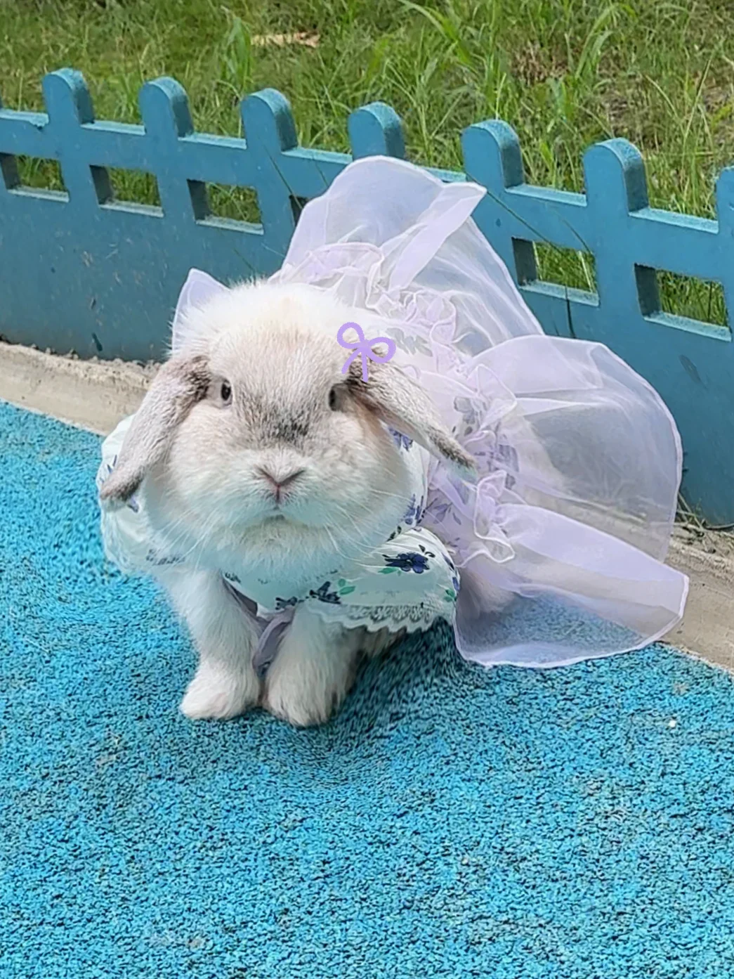 不好意思美女，你裙子被风吹起来了👗