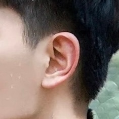 可是小猪耳朵真的好美味 ​​​