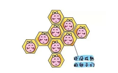 #健康真探社#【不孕，你可能经历了“假排卵”！】备孕的姐妹们有时会有疑问：“我的