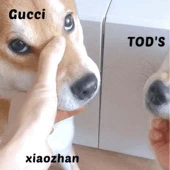 GUCCI用第一人称预热肖战米兰时装周后，TODS也解锁肖战第一人称朋友圈预热联