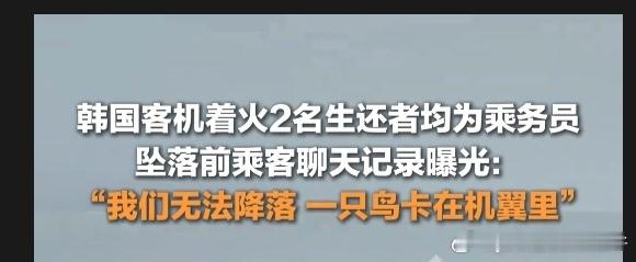 幸存韩国乘务员回忆空难 12月29日，韩国客机着火2名生还者均为乘务员  。坠落