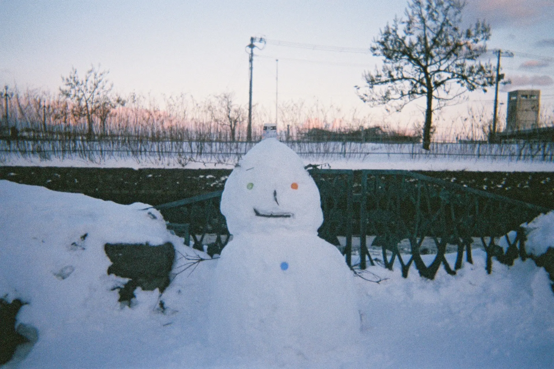 𐃆·̩͙₊˚⊹。