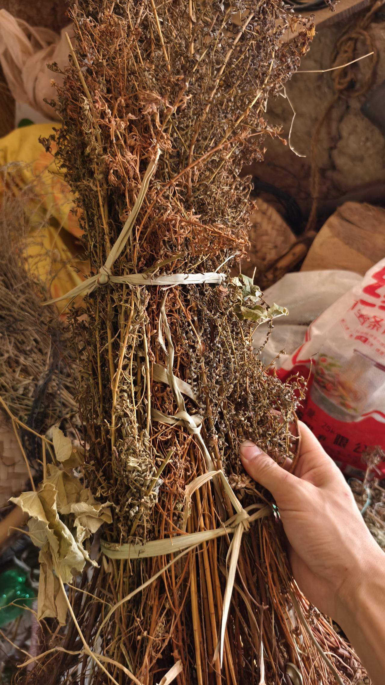 村民种植的中药材怎样卖上好价钱?能认识几种呢？看看都有什么功效