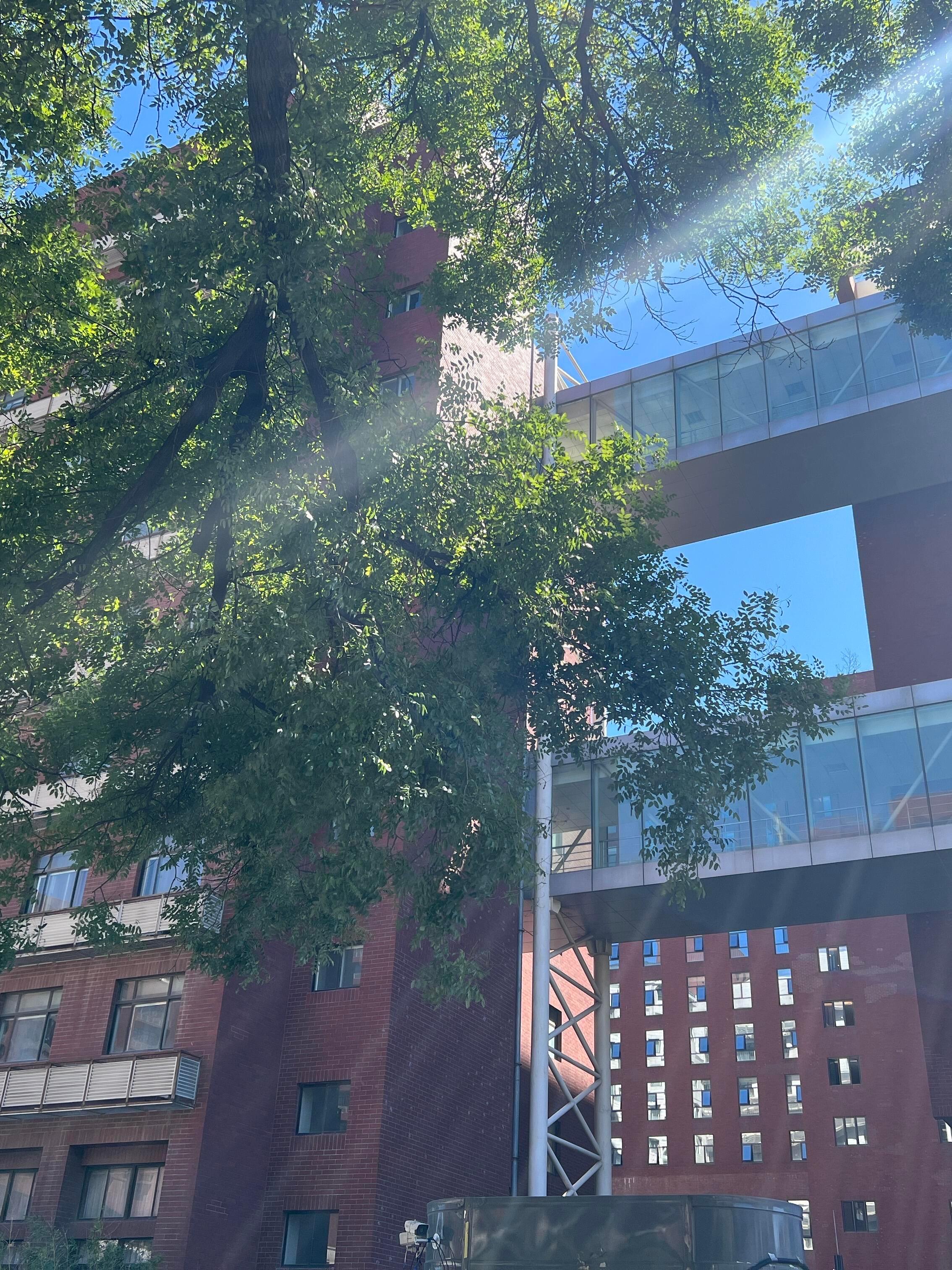 开学季希望你可以知道大学里最重要的是什么大学不是几个数字、一张简历而是多年后回头