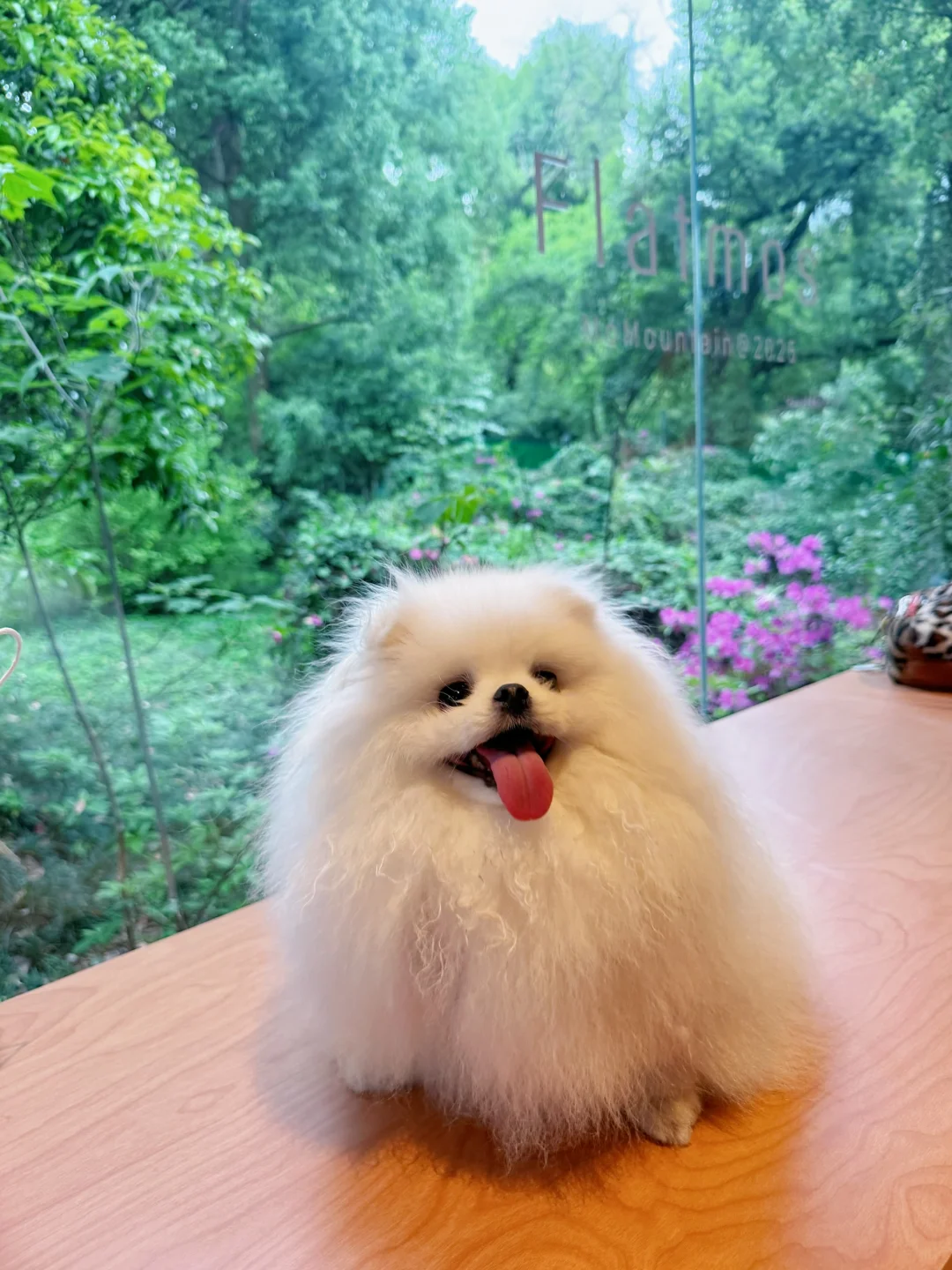 真喂过才懂鱼油的含金量