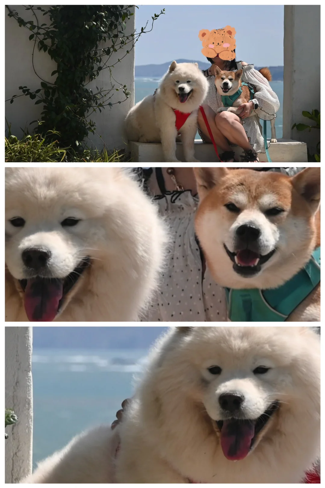 春天的海
