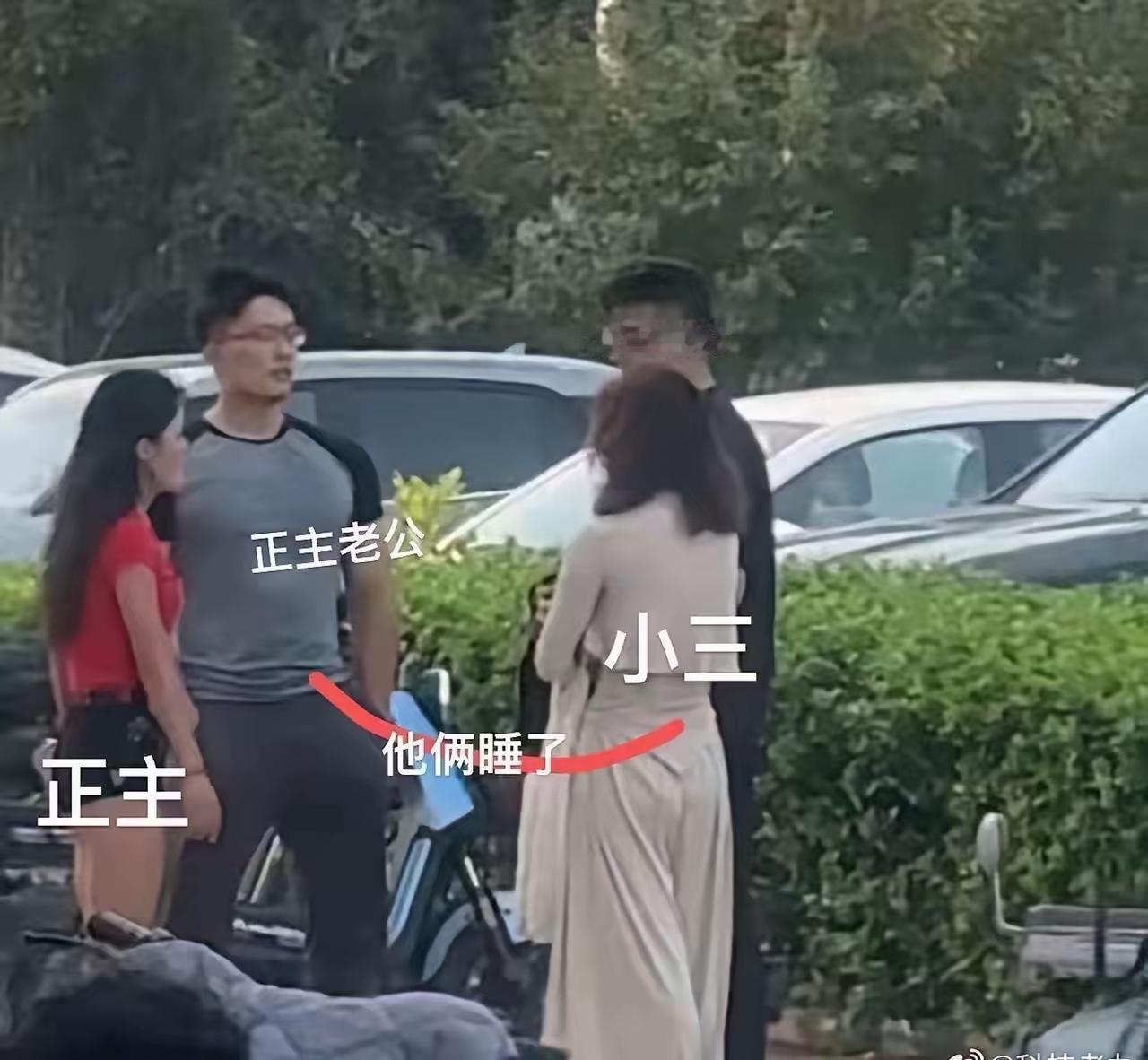 要是图中这样的混乱关系真的存在的话，那可真是滑天下之大稽。毕竟，两家人抬头不见低