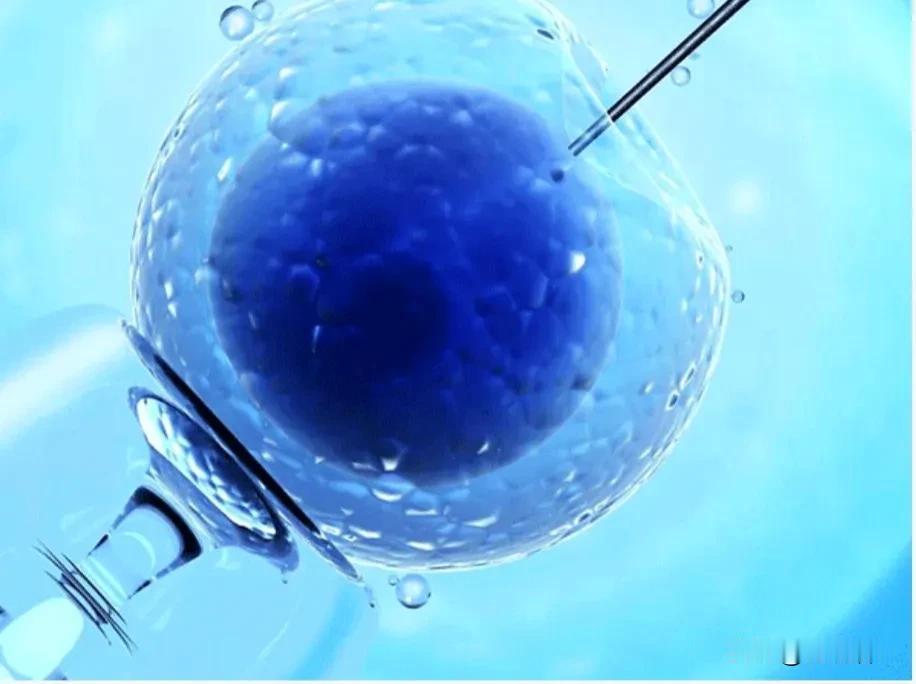 《国内捐精乱象，令人忧心》
 
朋友们，咱今天来聊聊国内捐精那些让人不省心的事儿