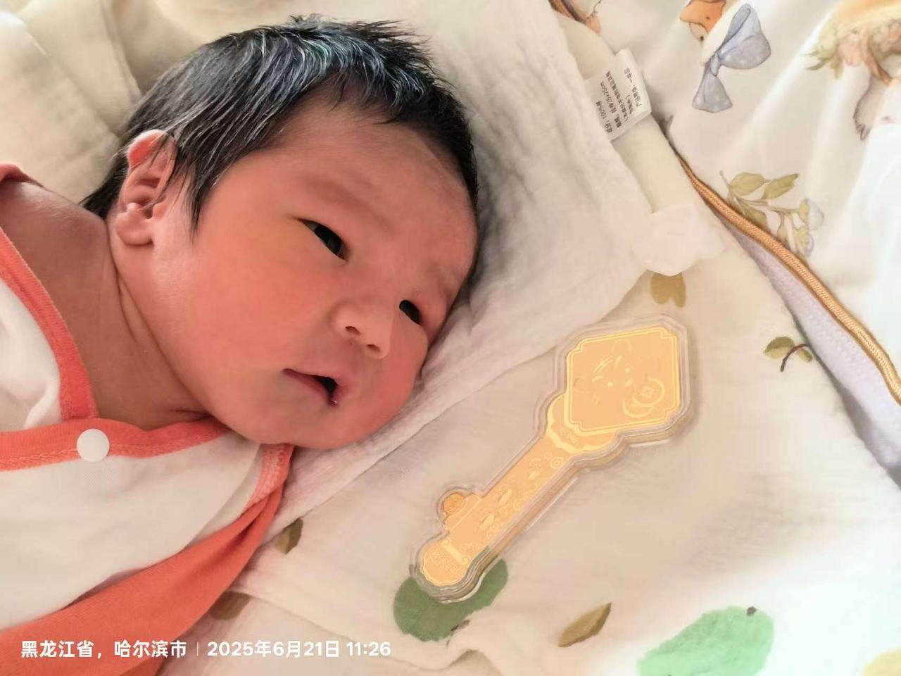 迎接新生命 蛇宝宝