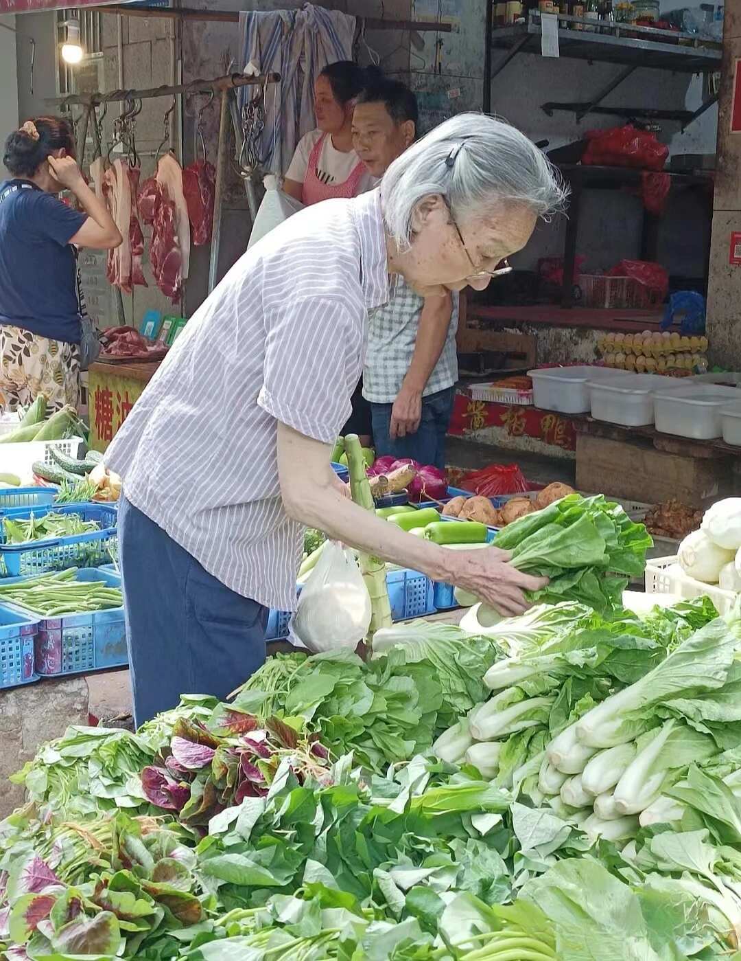 拜托让我这样优雅的老去 