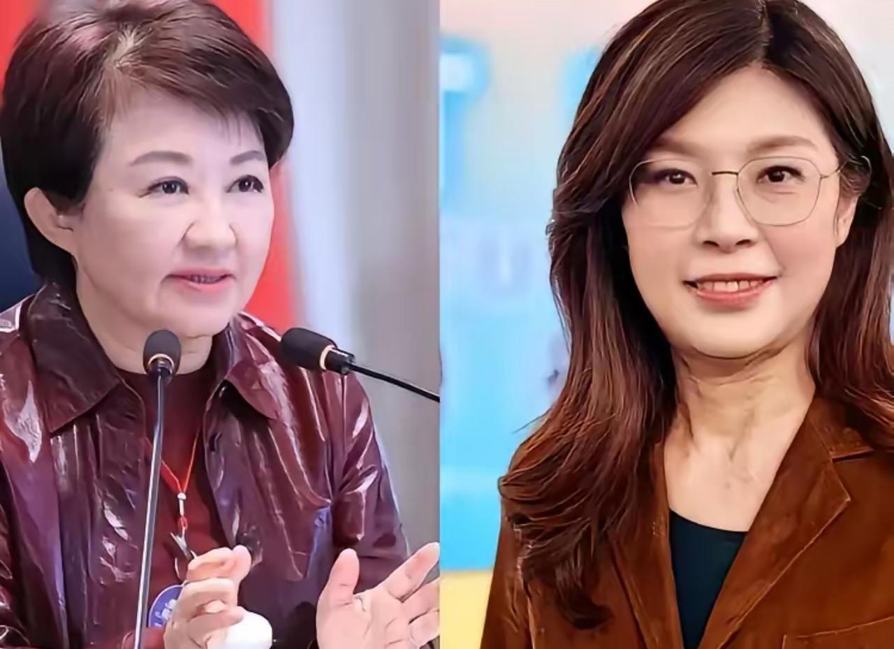 郑丽文终于对卢秀燕访美越界事件发声！一句“国民党不是一言堂”，语气温和包容，却清