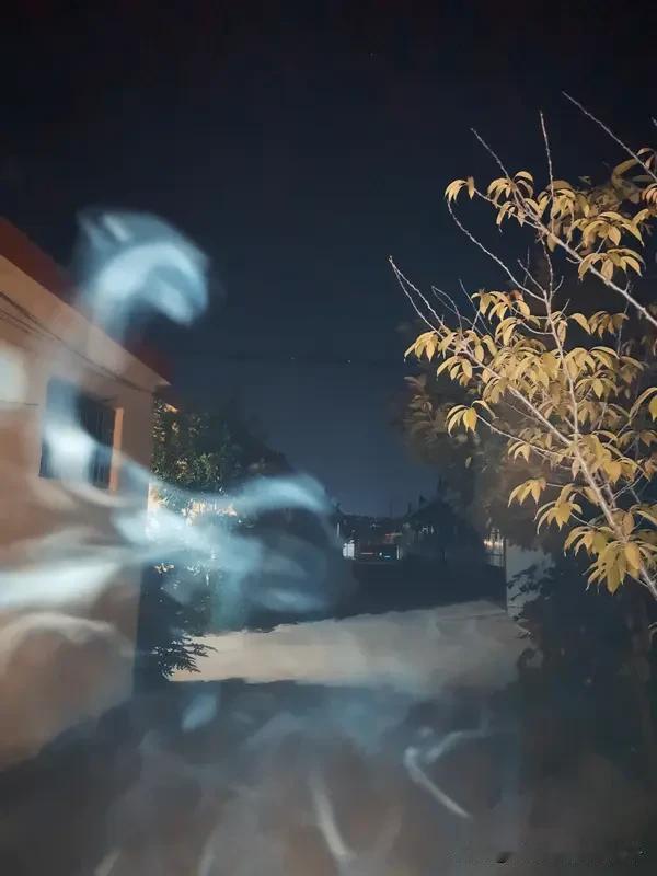 美网友：ICE是现实中的摄魂怪 美网友说“ICE是现实中的摄魂怪”可太贴切了。荷