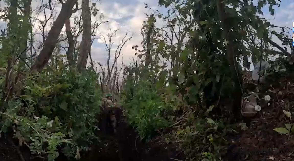 乌克兰武装部队占领了第聂伯河左岸安东尼夫斯基桥附近的桥头堡。
据乌克兰前线消息，