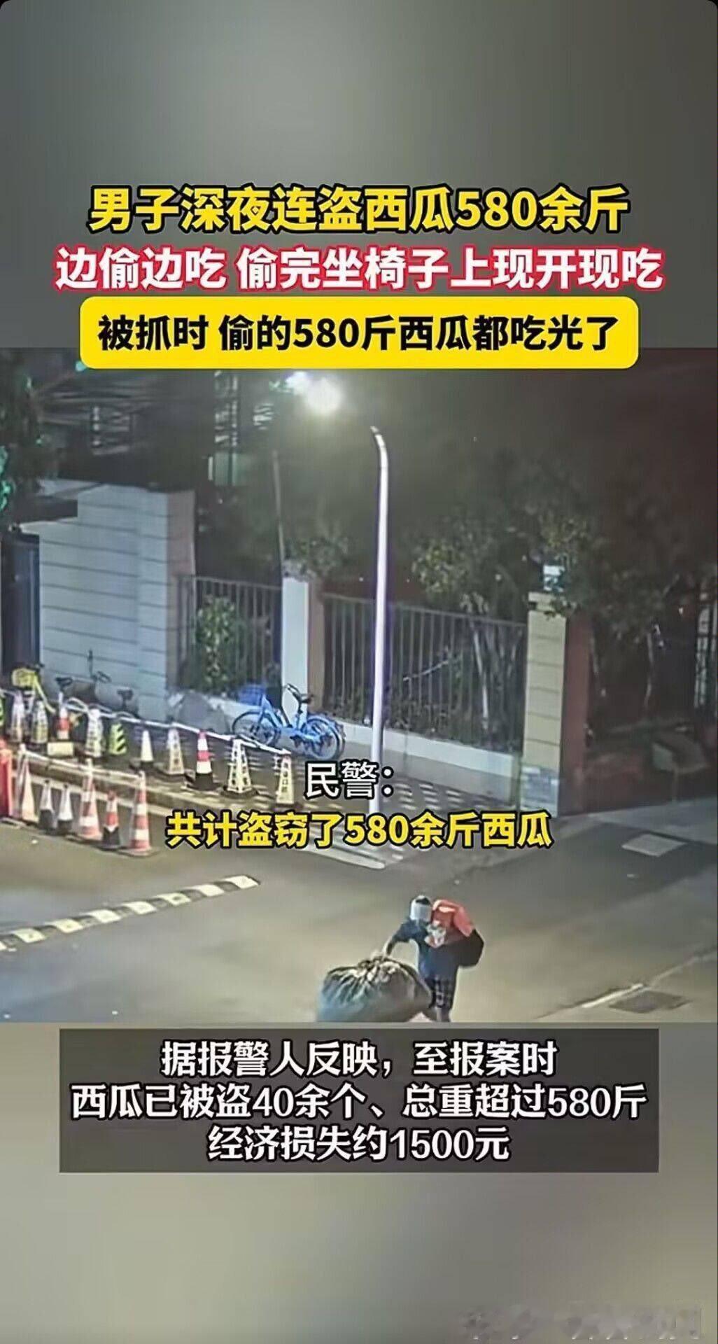 偷吃了580斤西瓜？ ​​​