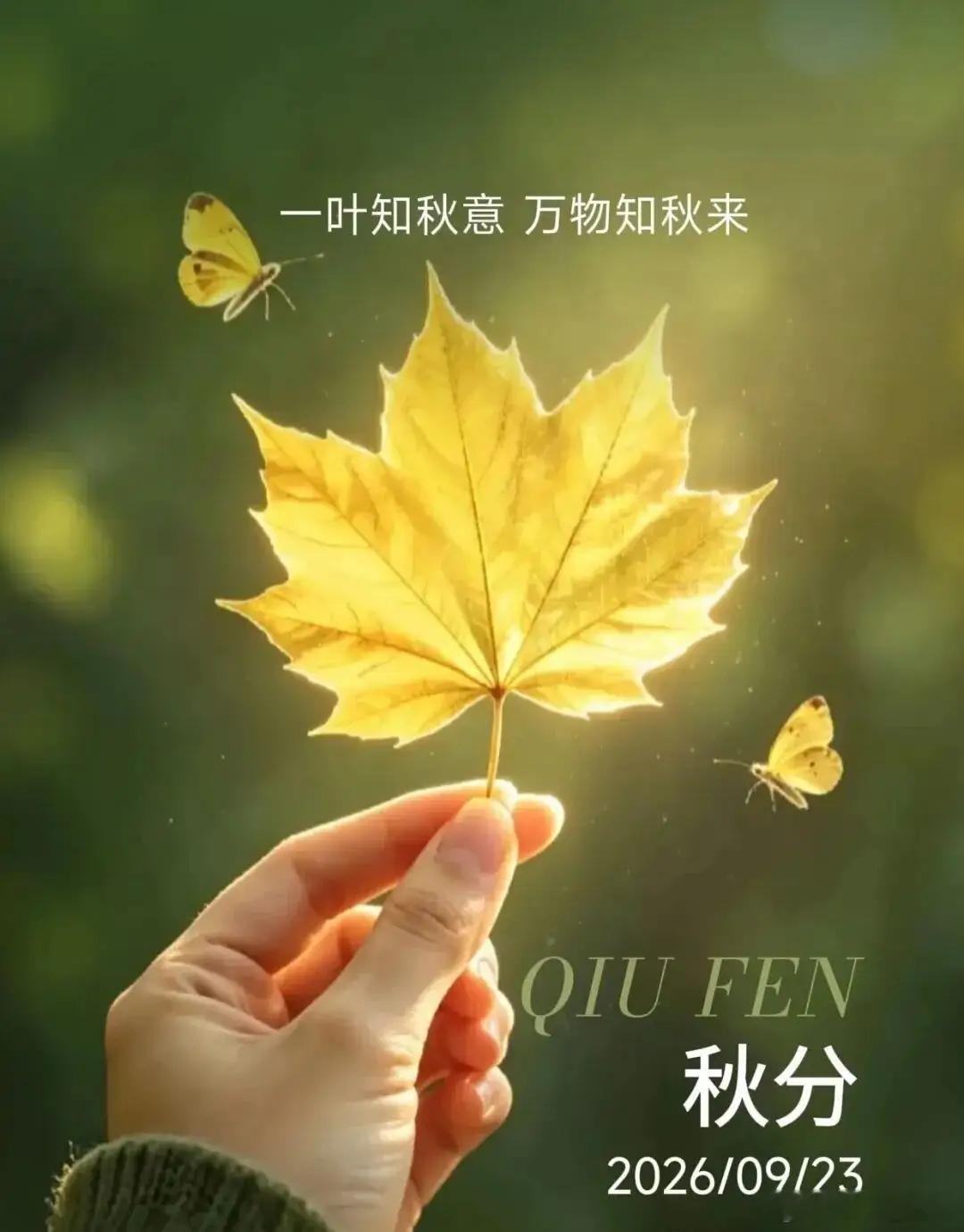 明天是秋分，今天也叫“离日”。什么是离日？春分，秋分，夏至，冬至的前一天，叫做“