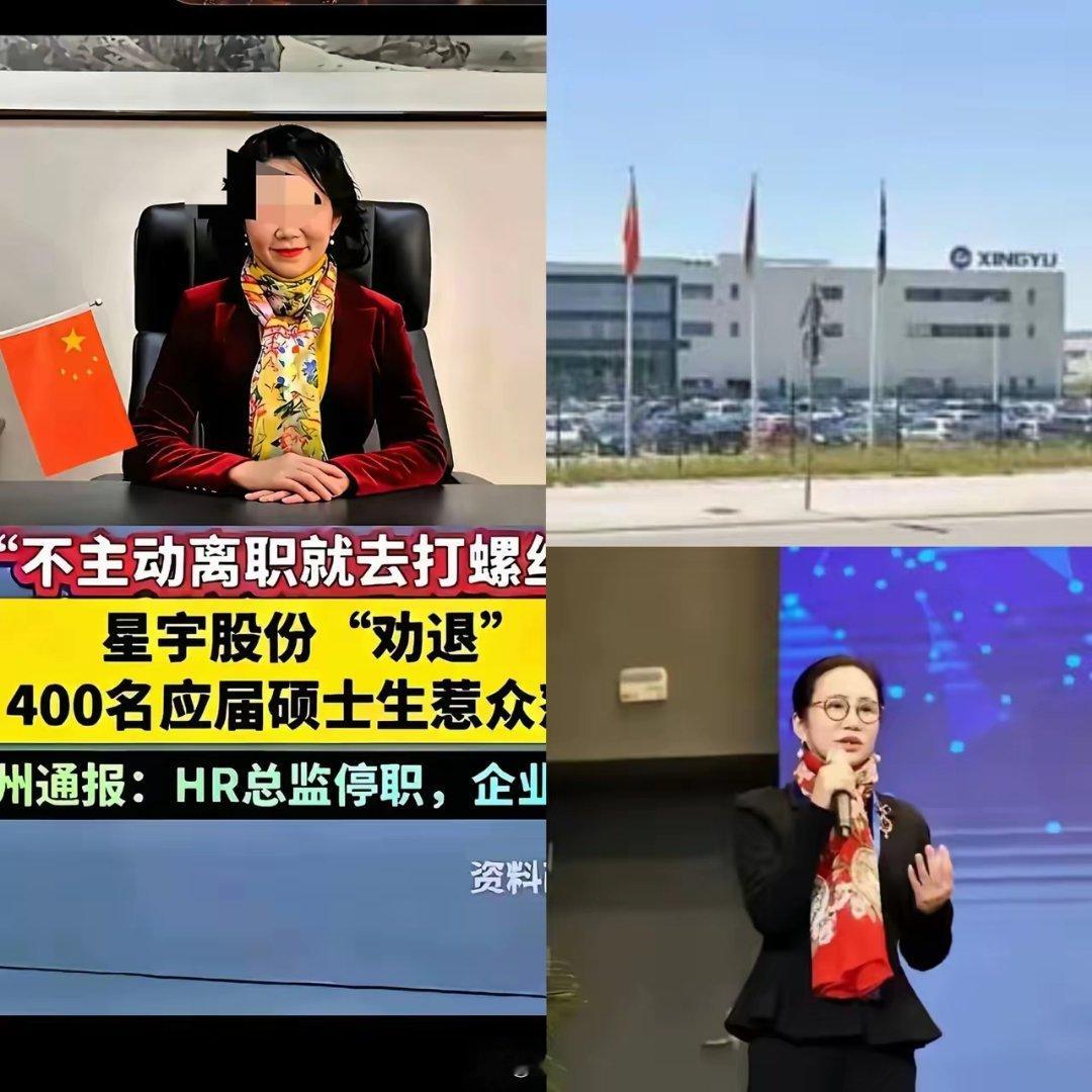 塞尔维亚人是爹妈生养的，难道外派的中国人就是牛马羊养的？星宇股份这波塞尔维亚工厂