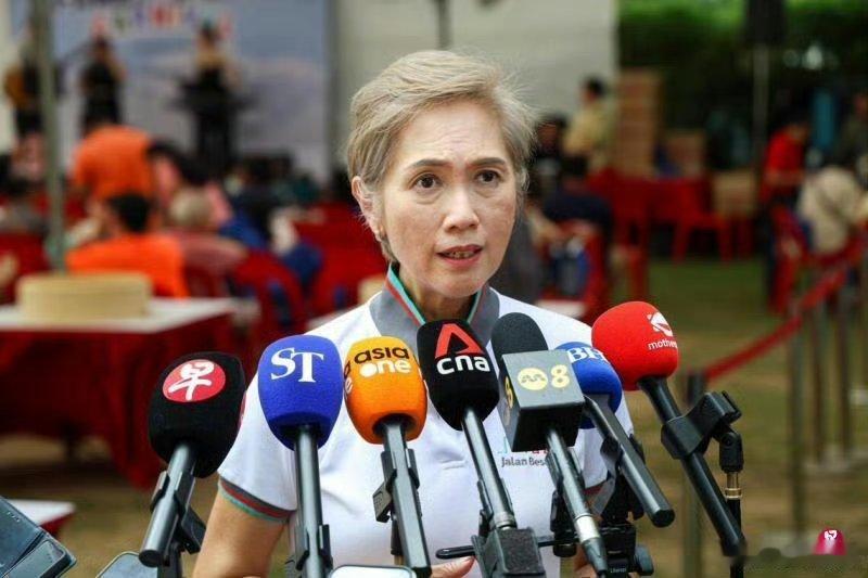 杨莉明（新加坡人民行动党核心女政客）前几天在脸书贴文：新加坡的多元文化不单指人口