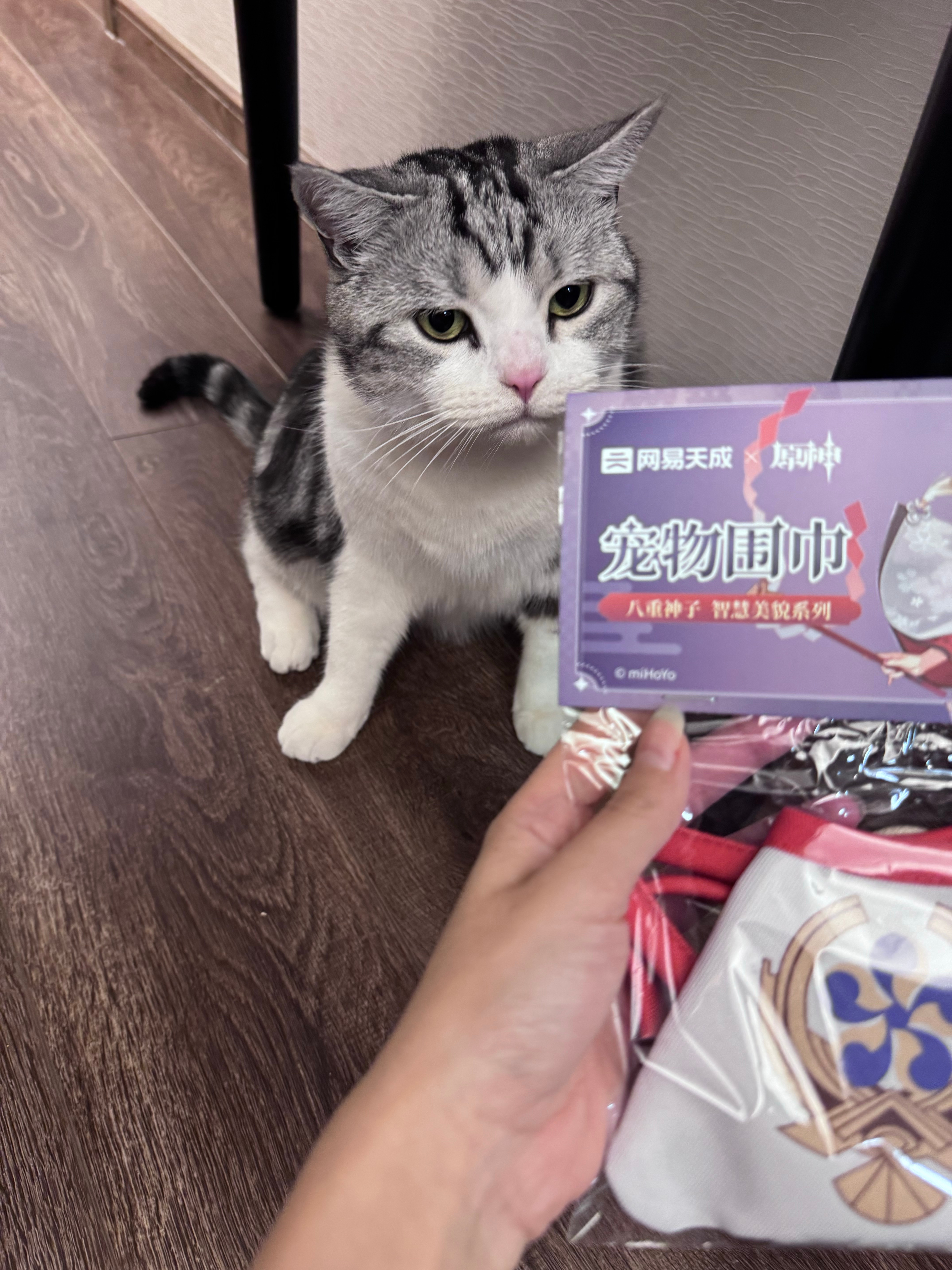 八重神子的狗，天生微笑唇 ​​​