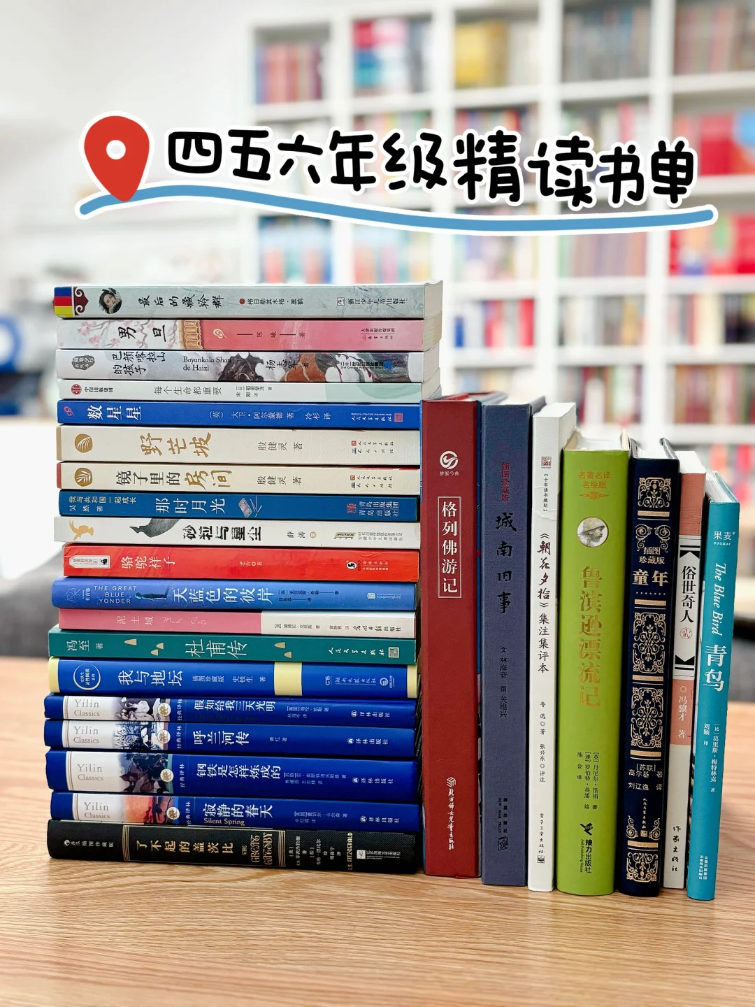 💙🩵🩶四五六年级精读书单