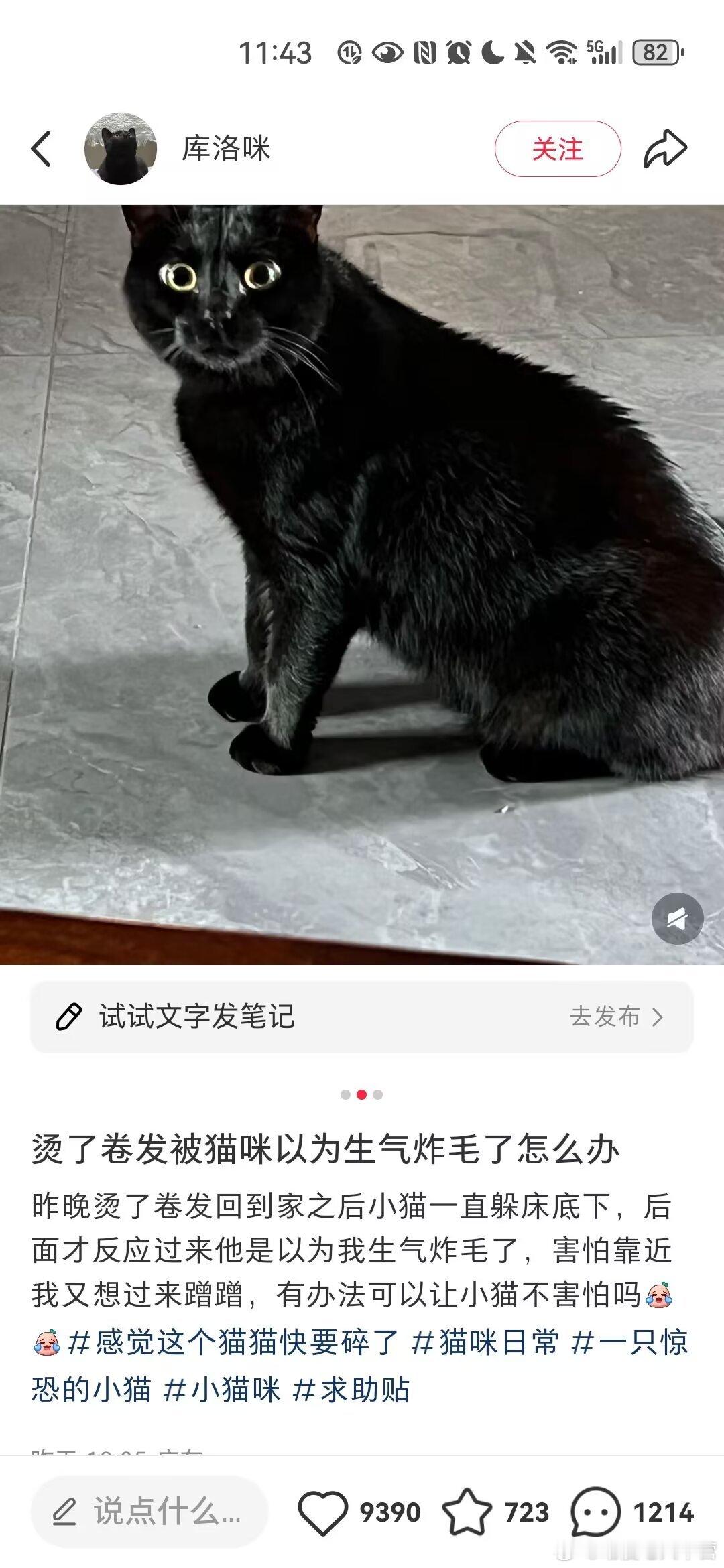 今天看到很可爱的 ​​​