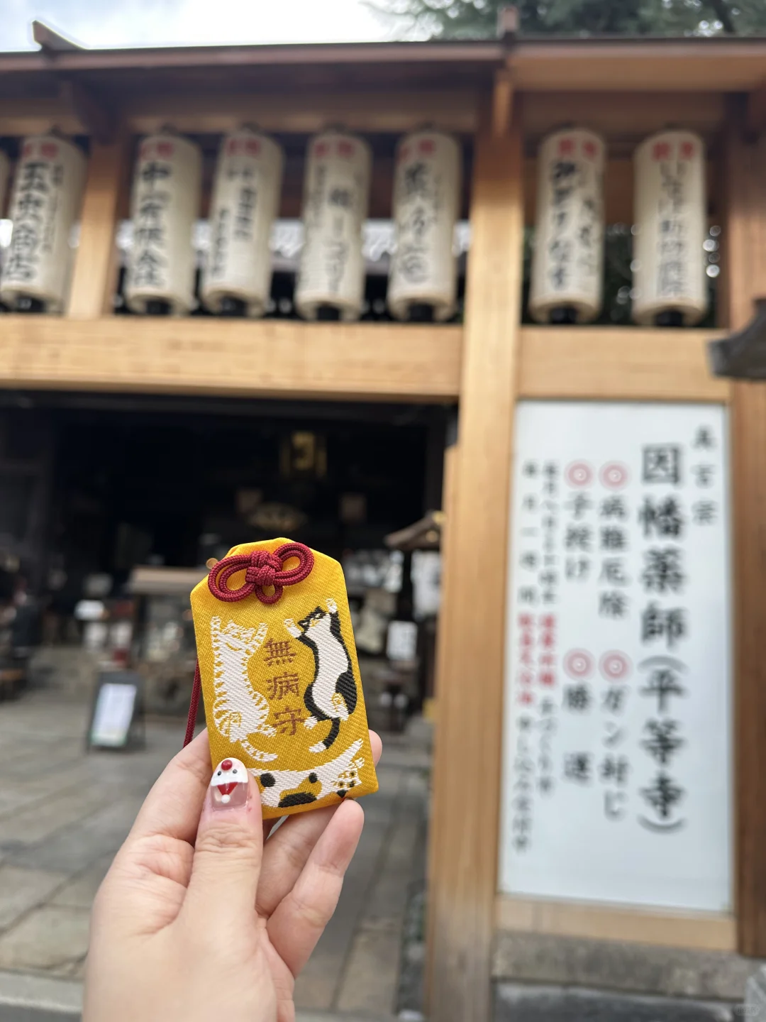 传说京都最难请❓可爱猫猫无病御守买到啦🐈